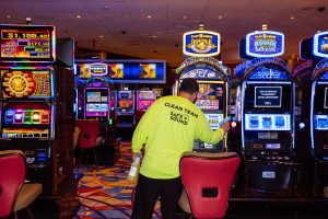 Making Sense of Online Gambling Casino, Game Categories, and Options